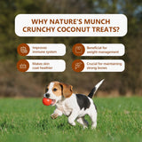 Pawfect - Treats 100% fruta fresca - Crunchy Coconut 🥥