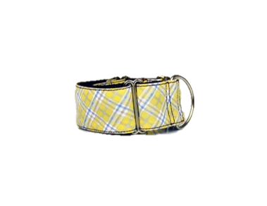Brott BArcelona - GAVA (40% discount - last collar Greyhound)