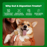 Pawfect - Snacks FRESH FREEZE DRIED - DIGESTION - Cheese, Papaya, Chamomile, Parsley & Psyllium (Probiótico natural: Anti Cólicas e sem Gases)