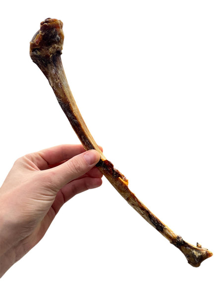ASAS Avestruz XL (25-35 cm) Osso resistente e durável de nova proteína hipoalergénica