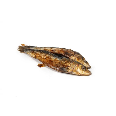Sardine (Sardinha) EXTRA 12-18cm🐟 O super peixe