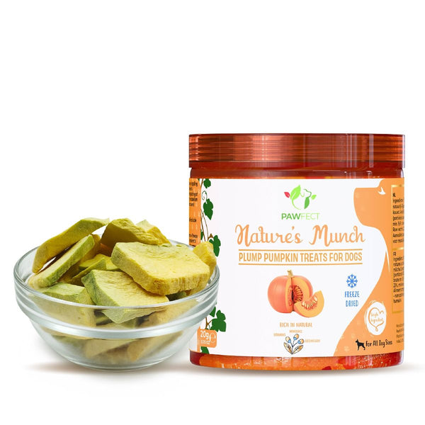 🎃Pawfect - Snacks FRESH FREEZE DRIED Plump Pumpkin (Anti-Worm Booster) (Antiparasitário e anti-diarreia)