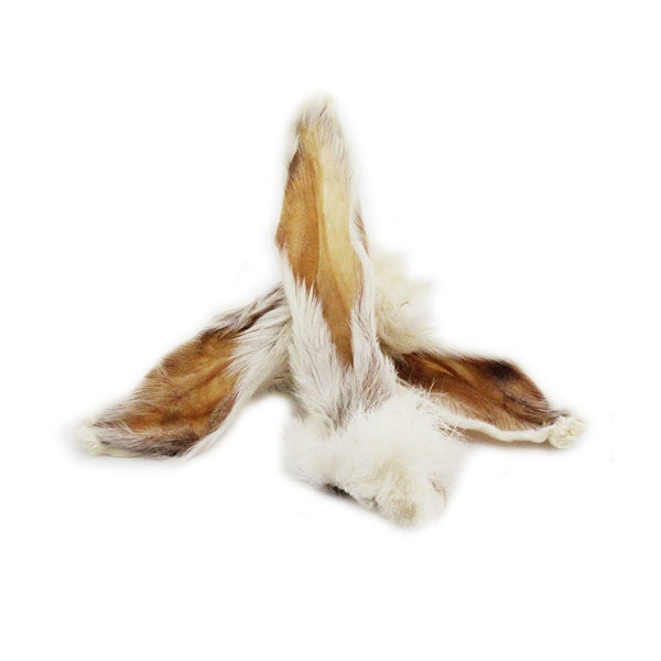 Orelhas Coelho com Pelo (M/L) 🐰 (Auxilia a digestão, antiparasitário natural e limpeza dentes)
