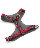 Brott Barcelona - TREMP (Soft Body Harness)