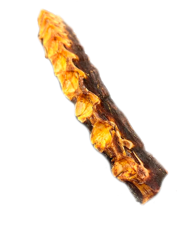 Fish Bone - TOMAHAWK de Atum (XL) 🐠 Muito rico em cálcio! EXCLUSIVO