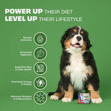 Pawfect - Polvo de hígado de pollo FUR-FUEL | Aderezo diario para perros | 100% natural | Enriquecido con bromelina, plátano, brócoli, espinacas, fresas, pimiento amarillo y quercetina | Alivio de alergias | Antiinflamatorio | Apoyo antioxidante (150 g)