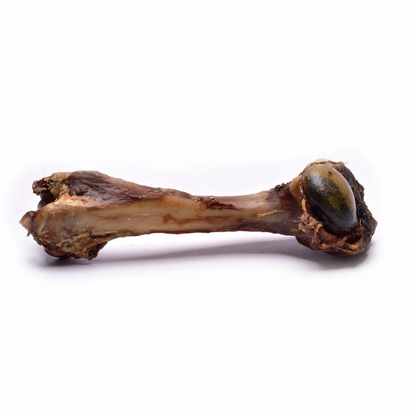 Osso de Veado (M)