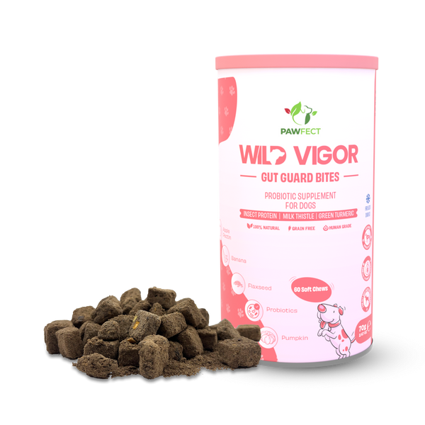 Pawfect - WILD VIGOR - GUT GUARD Bites | Probiotic Supplement for Dogs | All Natural | Grain Free | Enriched with Milk Thistle, Green Turmeric & Dandelion Root + banana, abóbora, pysllium