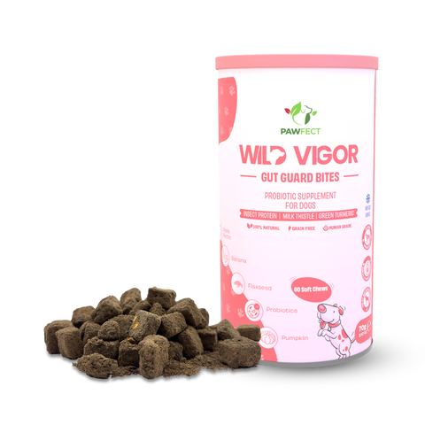 Pawfect - WILD VIGOR - GUT GUARD Bites | Probiotic Supplement for Dogs | All Natural | Grain Free | Enriched with Milk Thistle, Green Turmeric & Dandelion Root + banana, abóbora, pysllium