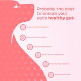 Pawfect - WILD VIGOR - GUT GUARD Bites | Probiotic Supplement for Dogs | All Natural | Grain Free | Enriched with Milk Thistle, Green Turmeric & Dandelion Root + banana, abóbora, pysllium