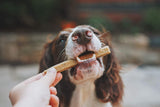 🥬Chews HIGH PROTEIN (soft-baked) (Espinafres frescos, grão & frango do campo) para cão