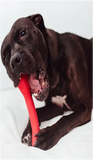 XMAS CHEWING BONE - ELASTIC (SUAVE & MALEÁVEL) p/ cachorros, seniores, cães mordedura fraca ou dentes sensiveis