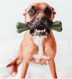 💚 ETERNAL BONE  DOG CHEW (INDESTRUTIVEL) (for heavy chewer) escova dentes natural!